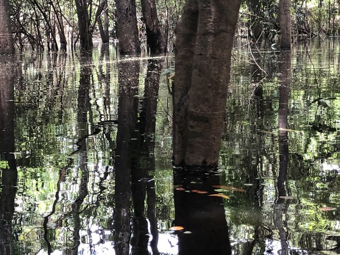 «30×30»: Un Acuerdo Mundial por la Biodiversidad para el Futuro del Planeta
