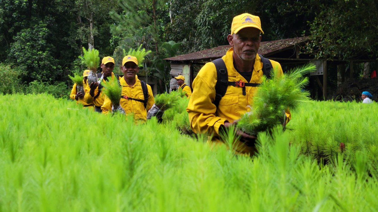 Reducción significativa de incendios forestales en RD en primer cuatrimestre de 2024