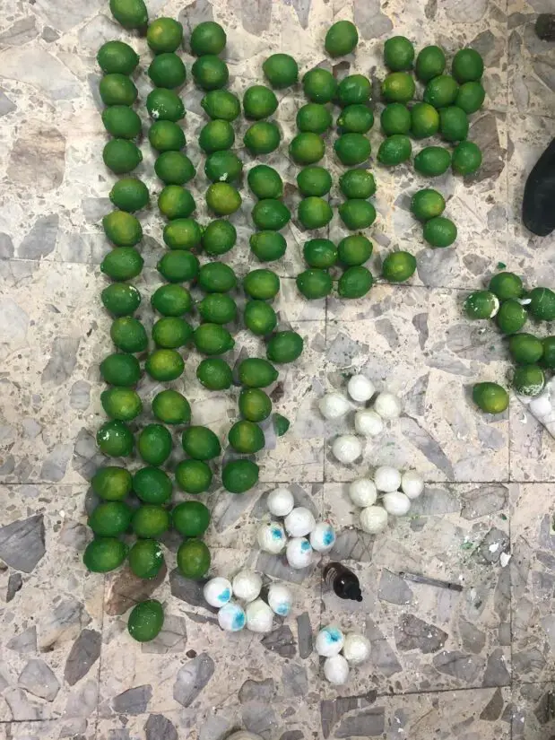 DNCD intercepta envío de cocaína oculto en “limones” de cerámica en el Aeropuerto Las Américas