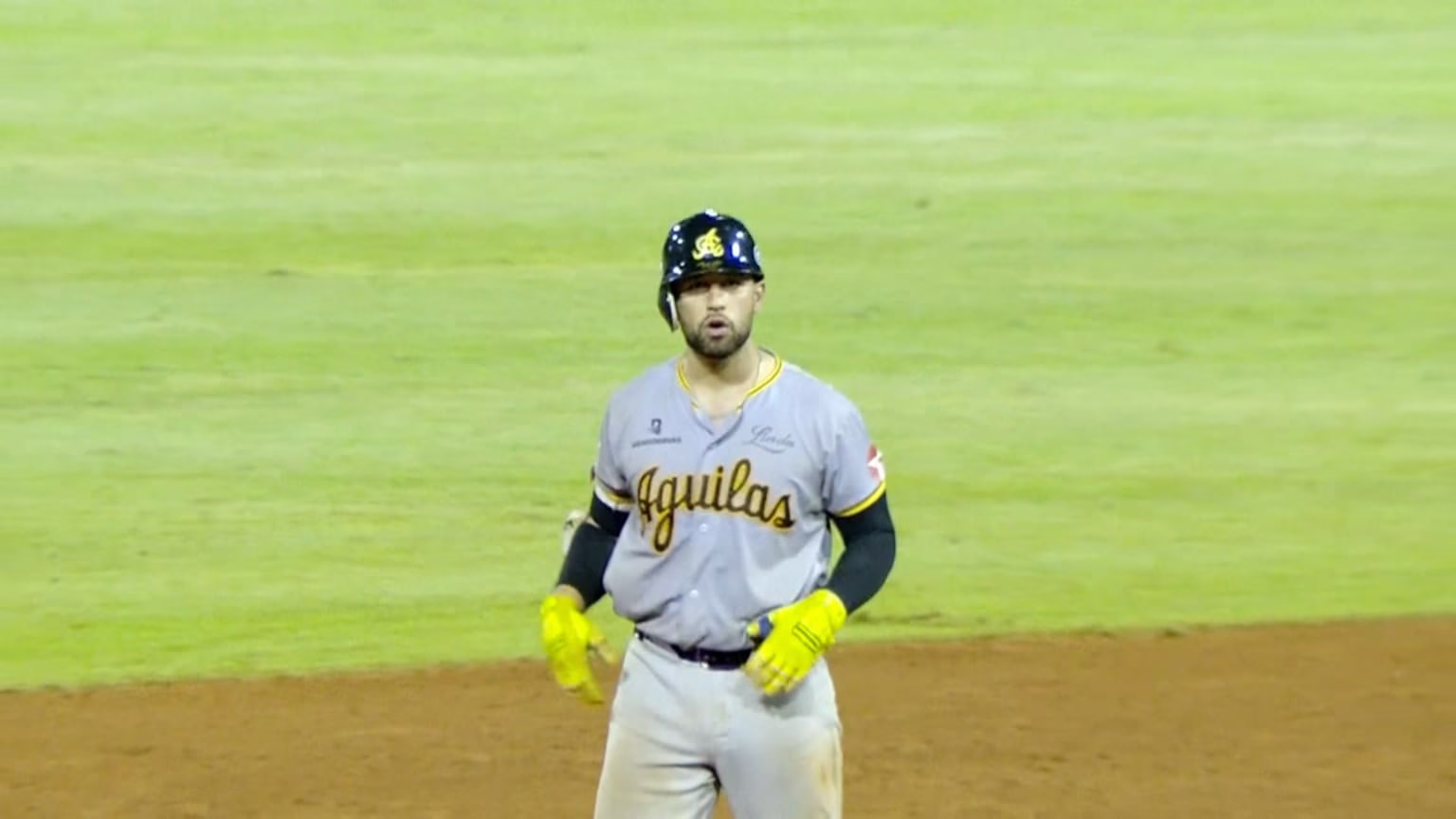 Águilas Cibaeñas vencen a Tigres del Licey en emocionante décima entrada