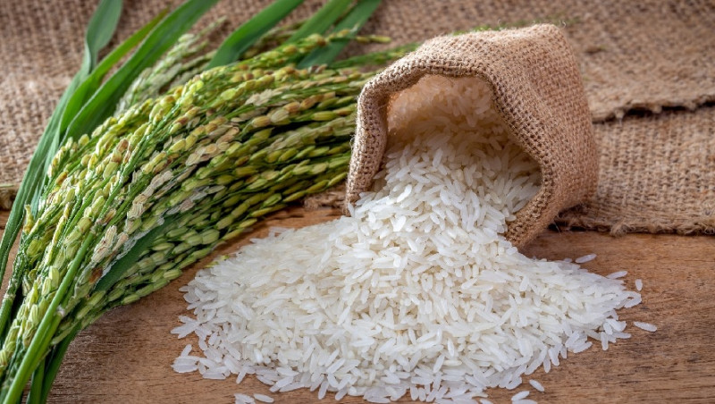 Gobierno Dominicano mantiene regulación sobre contingentes arancelarios para productos agropecuarios clave