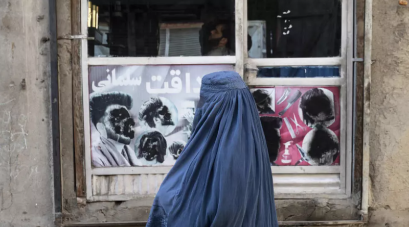 Talibanes prohíben ventanas con vistas a mujeres para prevenir «obscenidad»