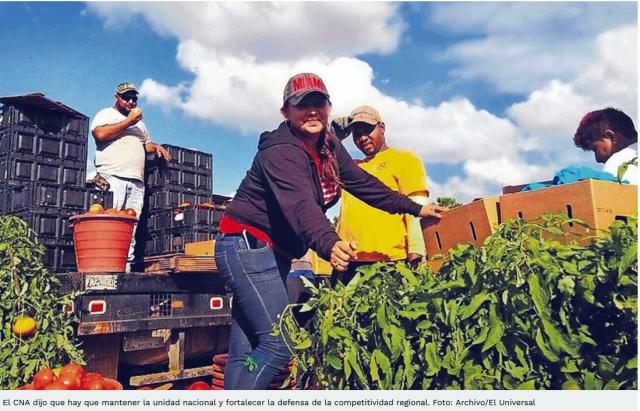 Impacto de las Medidas Arancelarias de EE. UU. Podría Afectar Turismo y Agroproducción Dominicana