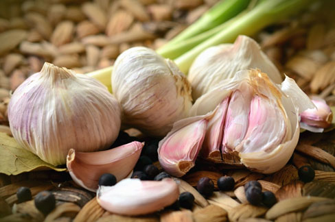 Productores de ajo en Constanza denuncian deuda gubernamental y riesgo de quiebra