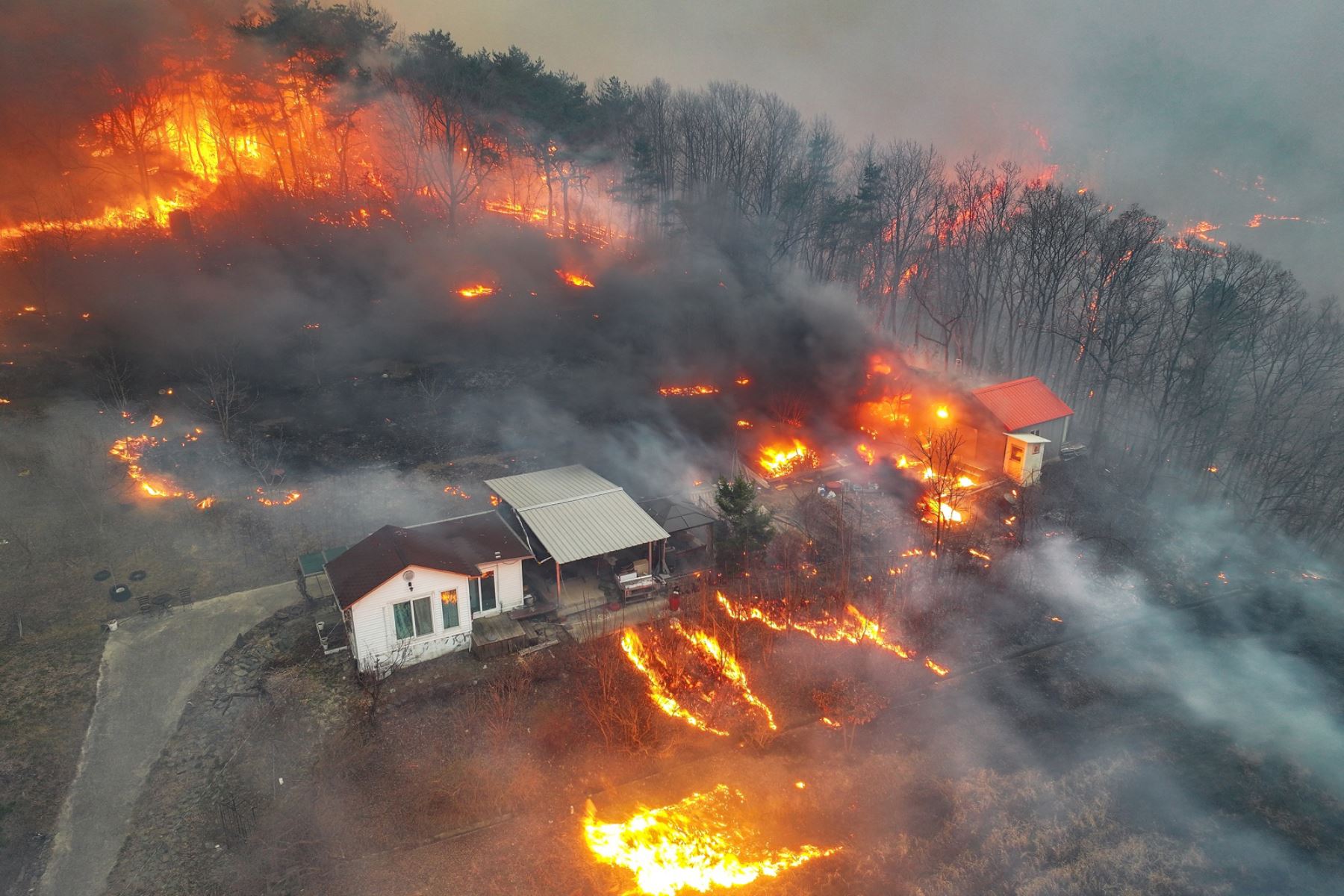 Incendios en Corea del Sur dejan 24 muertos y causan daños sin precedentes
